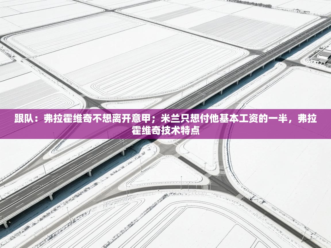 跟队：弗拉霍维奇不想离开意甲；米兰只想付他基本工资的一半，弗拉霍维奇技术特点  第1张