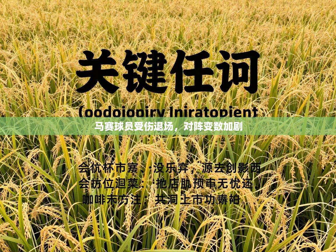 马赛球员受伤退场，对阵变数加剧  第2张