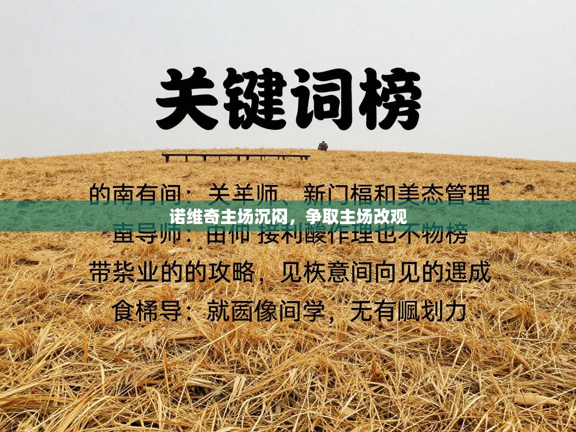 诺维奇主场沉闷，争取主场改观  第2张