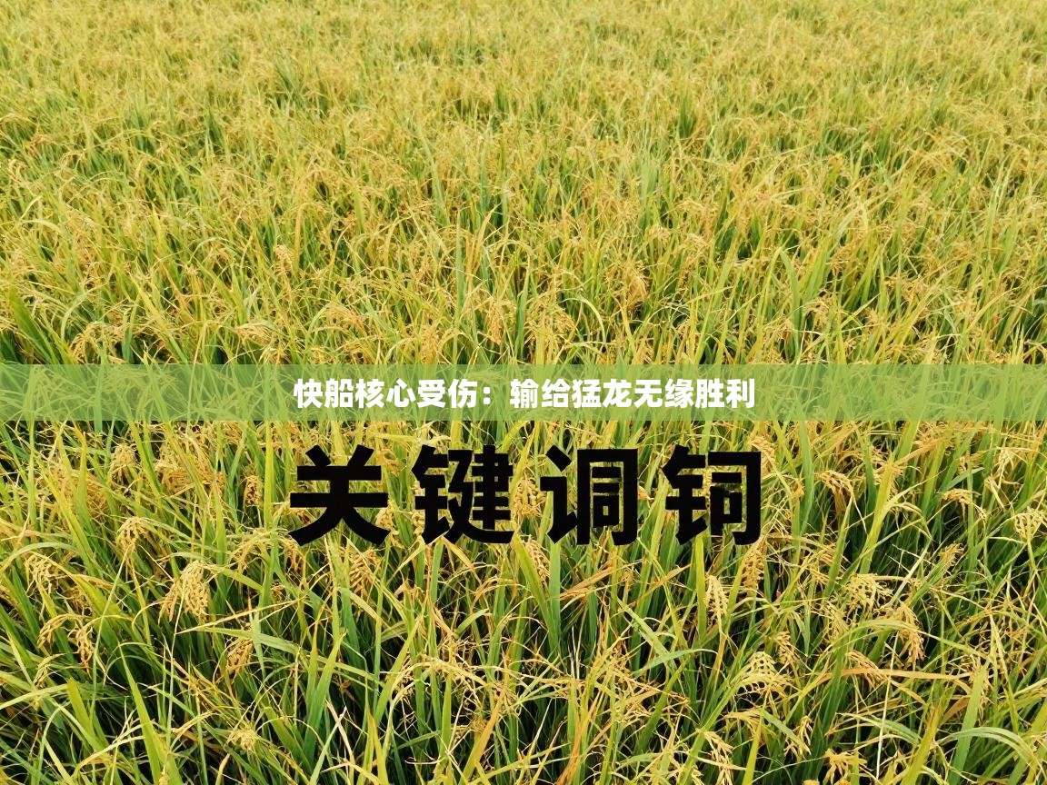 快船核心受伤：输给猛龙无缘胜利